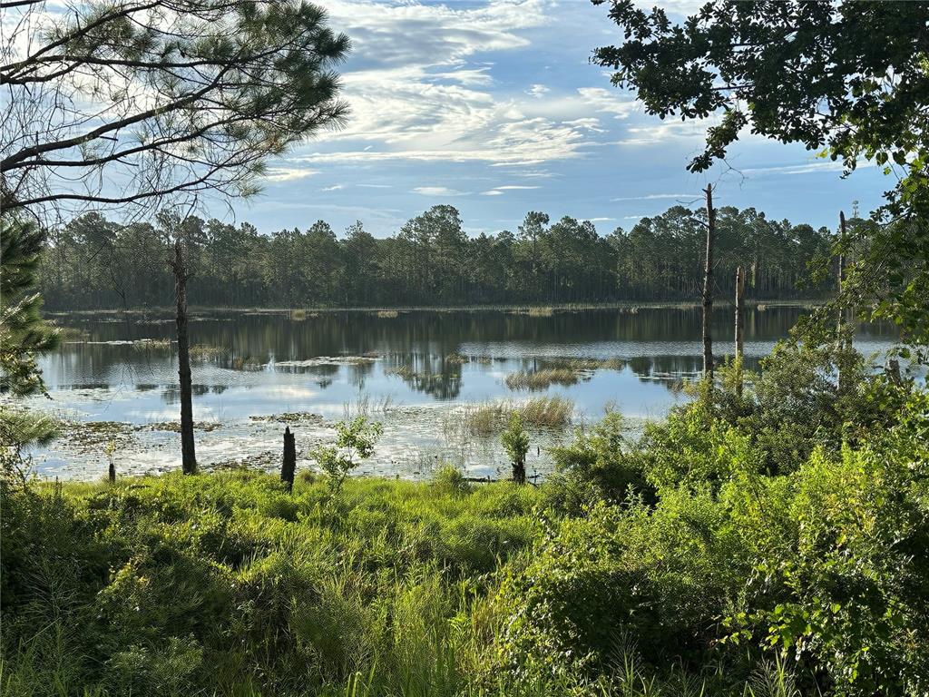 177 Rosedale Drive Deltona, FL 32764 - Photo 5 of 23