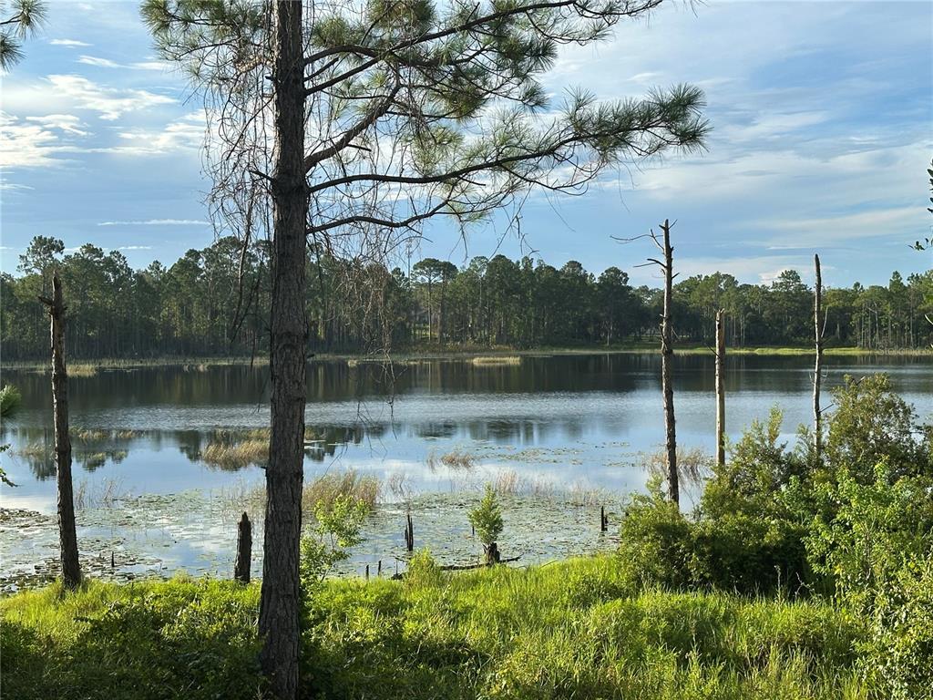 177 Rosedale Drive Deltona, FL 32764 - Photo 6 of 23