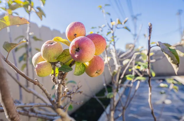 $739,000 | 520 La Mesa Drive, Salinas, CA 93901