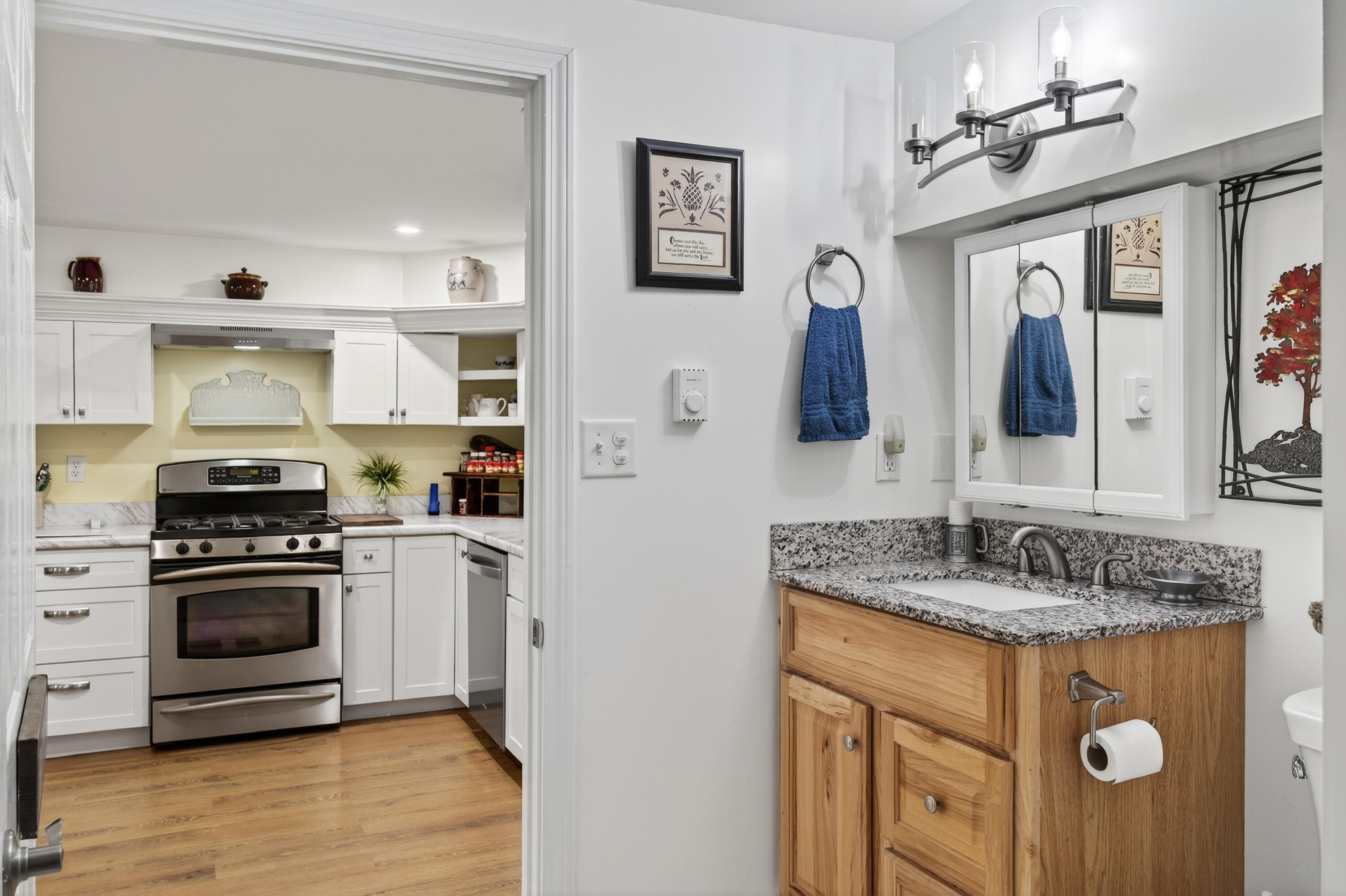14 Rachel Drive Kennebunk, ME 04043 - Photo 39 of 48 39