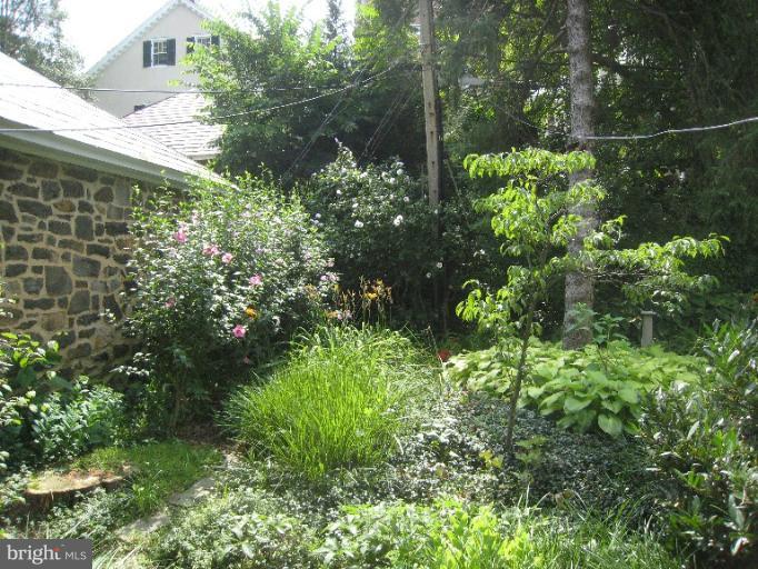 3902 Hadley Square West Baltimore, MD 21218 - Photo 13 of 30 a plant view in yard