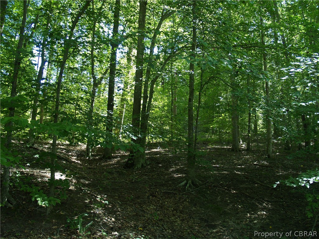 24-134 Spring Hill Farm Road Gloucester, VA 23061 - Photo 3 of 4