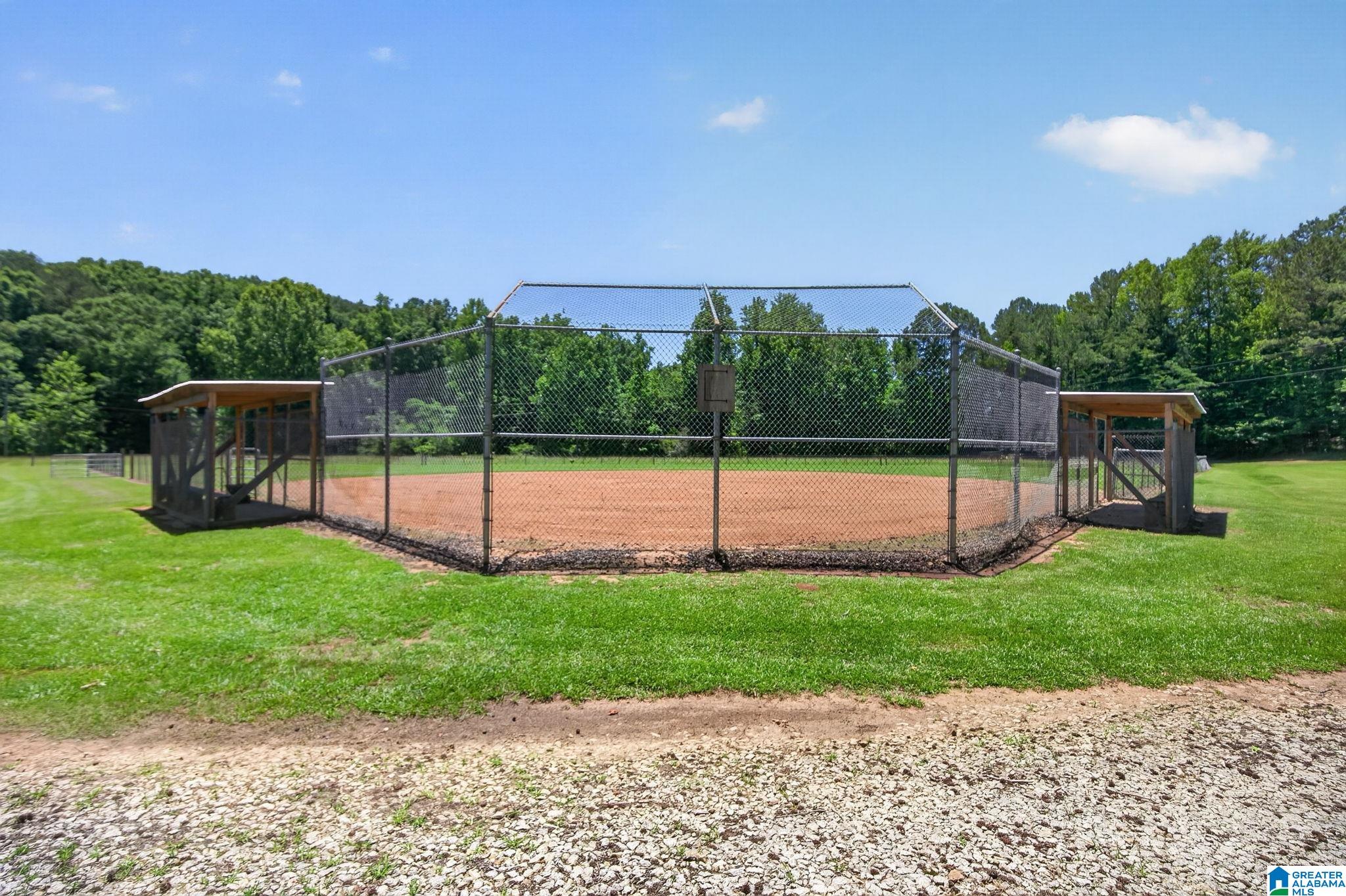 3463 County Road 3 Delta, AL 36258 - Photo 84 of 100