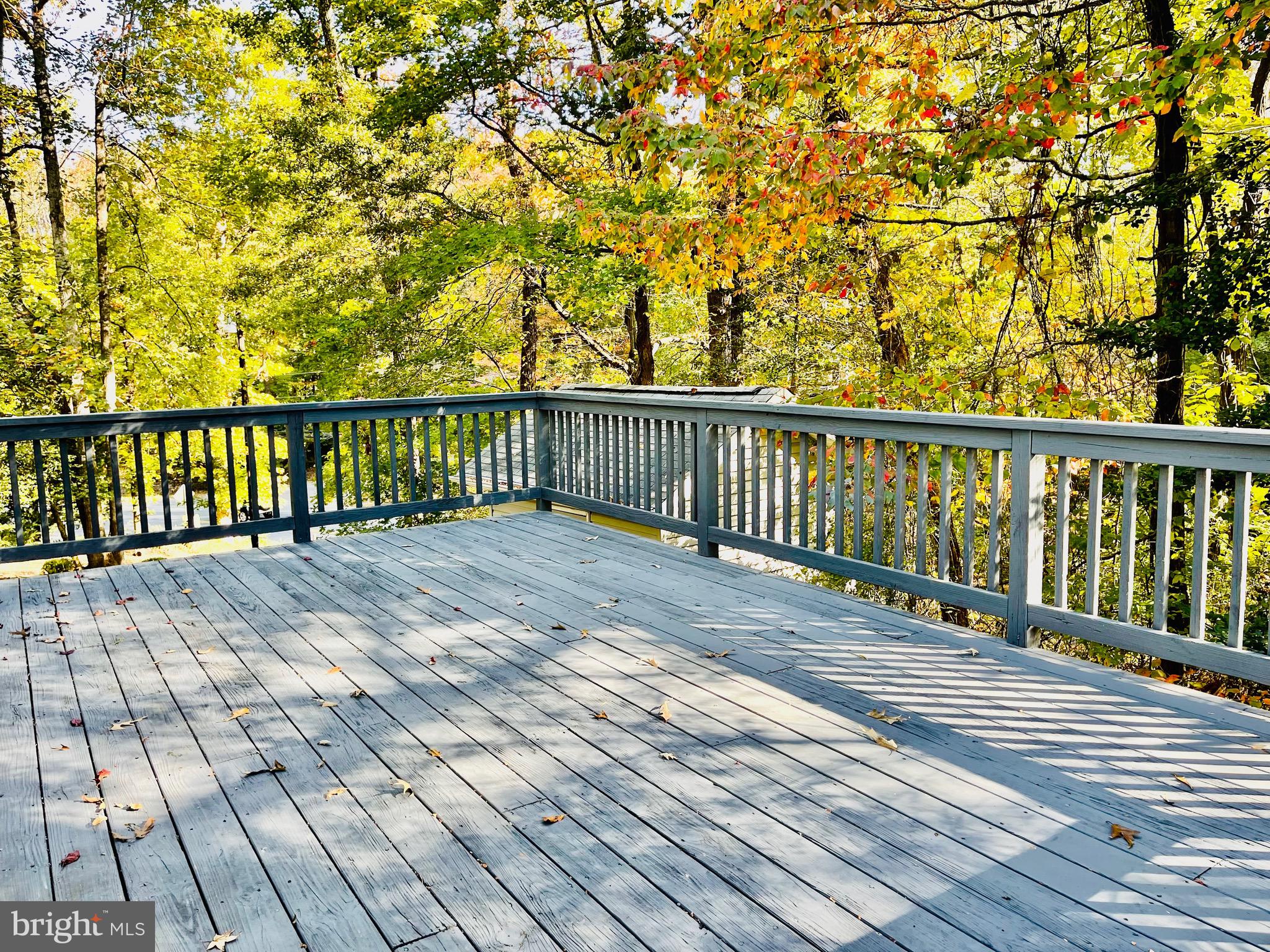 11568 Big Sandy Run Road Lusby, MD 20657 - Photo 47 of 50