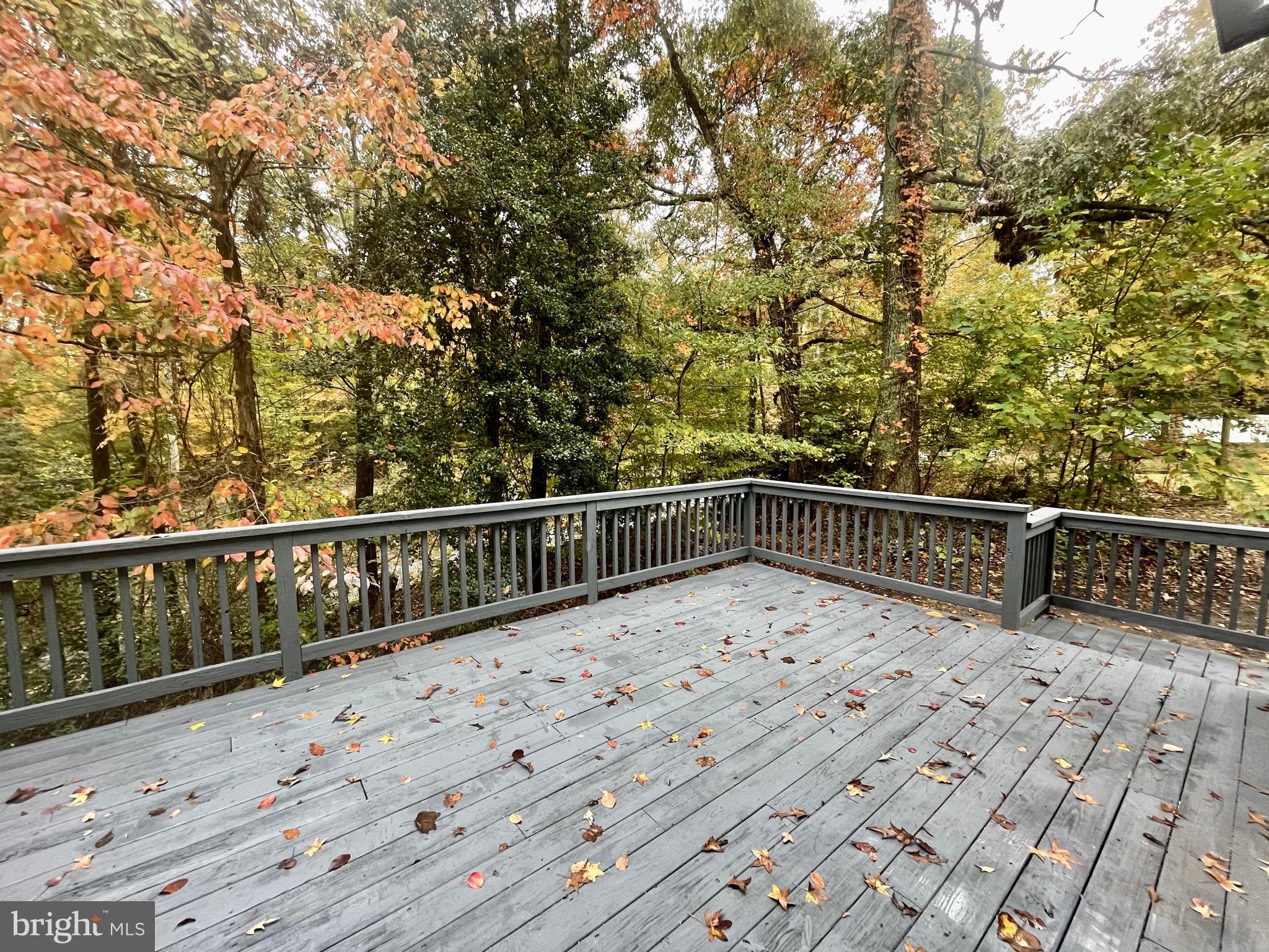 11568 Big Sandy Run Road Lusby, MD 20657 - Photo 48 of 50