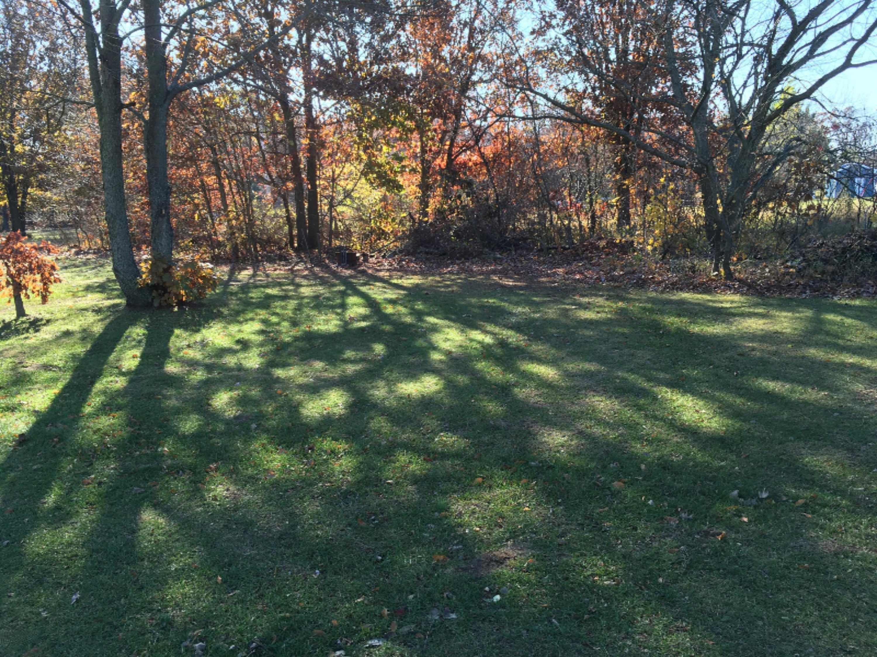 3388 Babylon Road Allegan, MI 49010 - Photo 13 of 14 3388 Babylon Rd yard