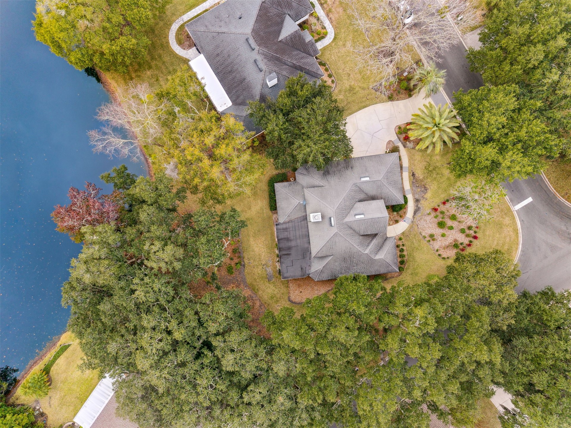 4433 Bean Street Fernandina Beach, FL 32034 - Photo 74 of 79 a picture of a wall with plants and large trees