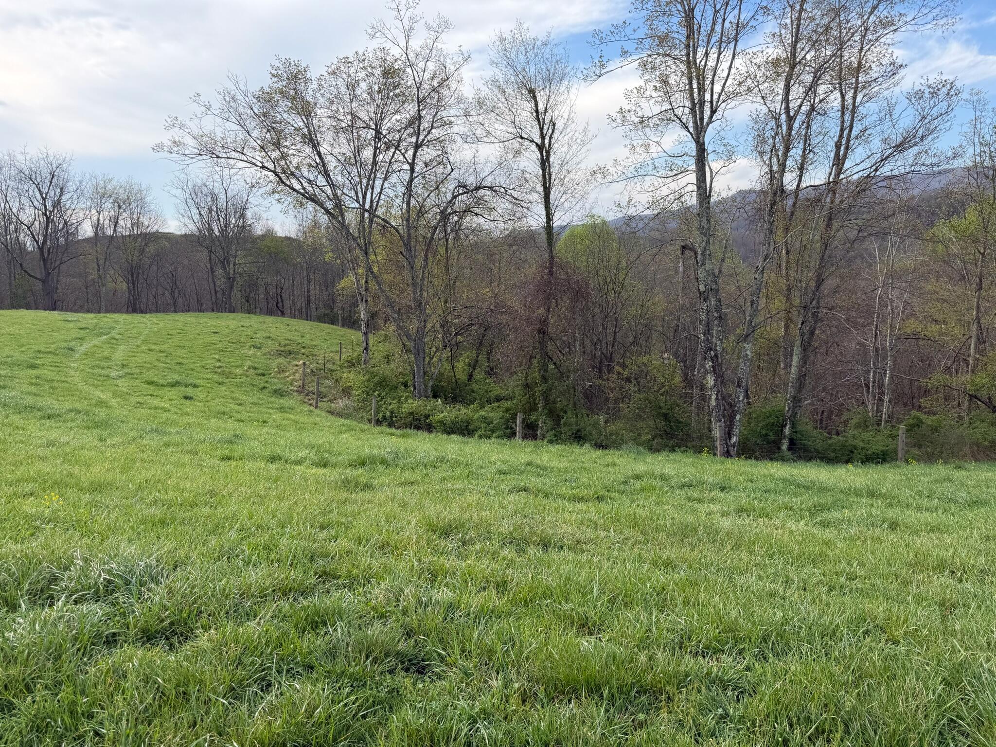 1999 Snake Run Road Alderson, WV 24910 - Photo 11 of 18 Property