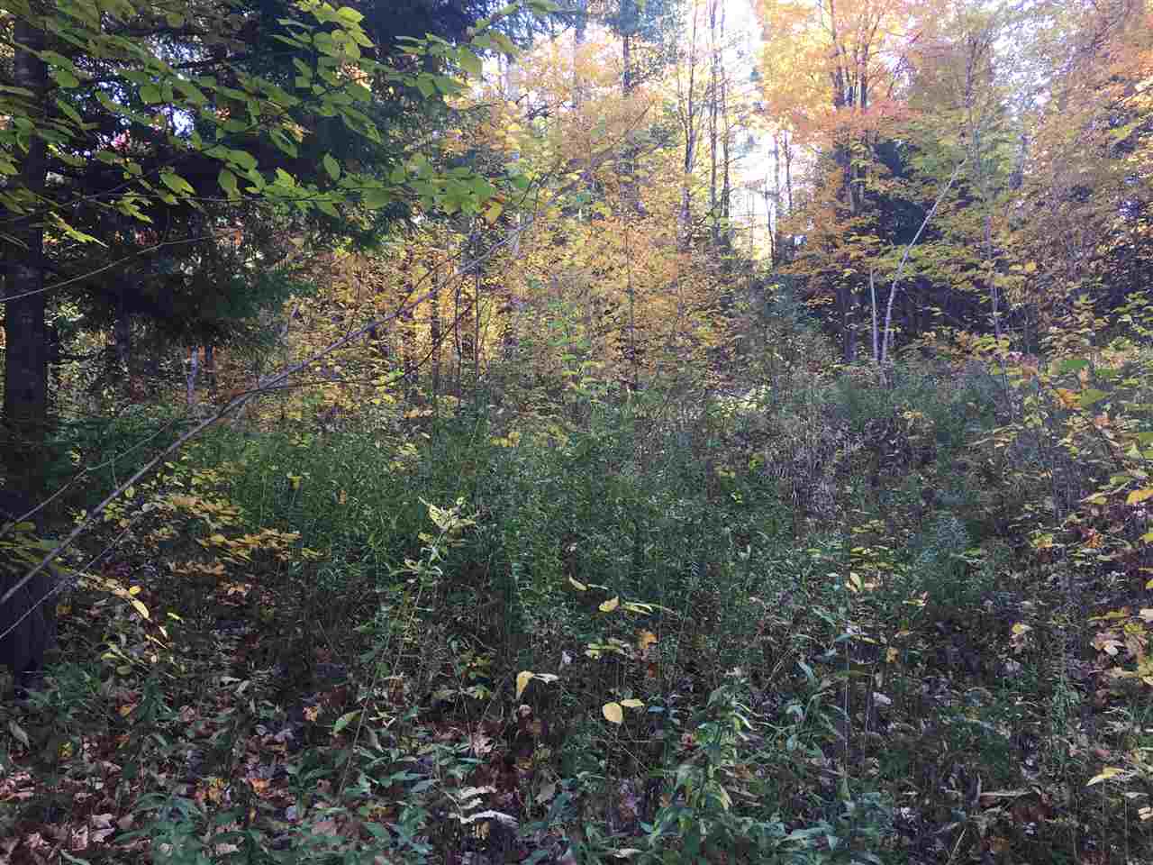 0 Williamson Road Jeffersonville, VT 05464 - Photo 1 of 17 Gallery Image 1