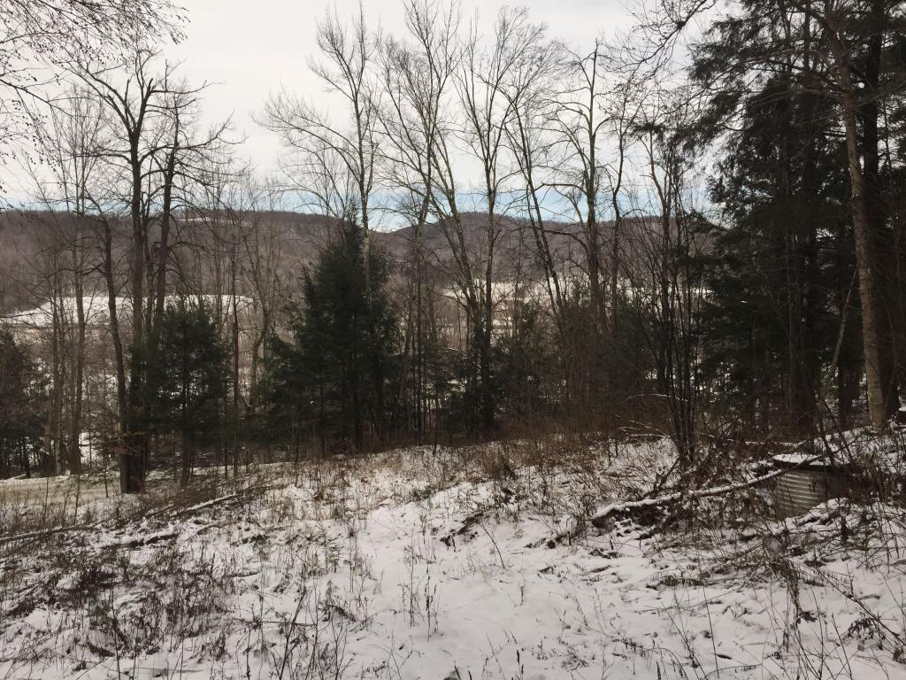 0 Williamson Road Jeffersonville, VT 05464 - Photo 14 of 17 Gallery Image 14