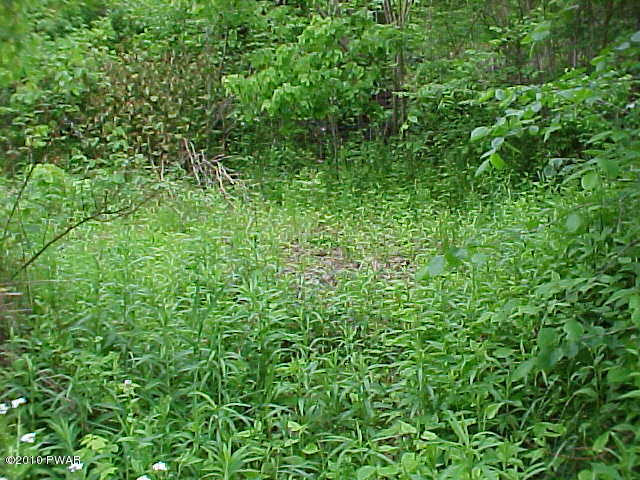 0 Riverside Drive Honesdale, PA 18431 - Photo 4 of 6