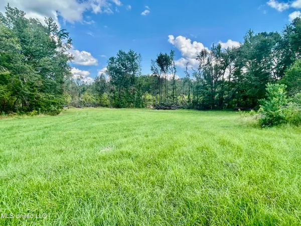 $350,000 | 215 County Road 369, Carrollton, MS 38917