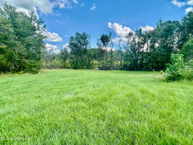 $380,000 | 215 County Road 369, Carrollton, MS 38917