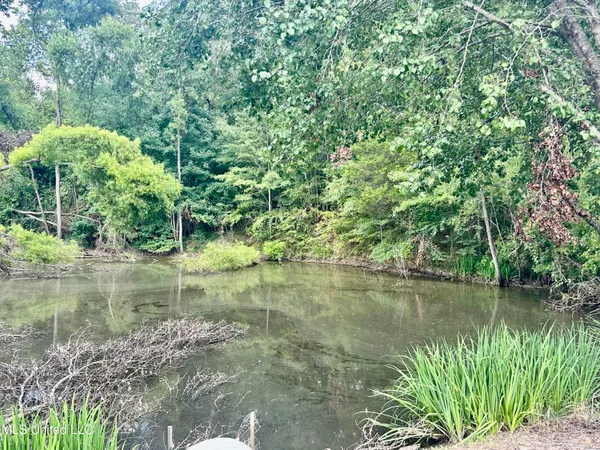 $350,000 | 215 County Road 369, Carrollton, MS 38917