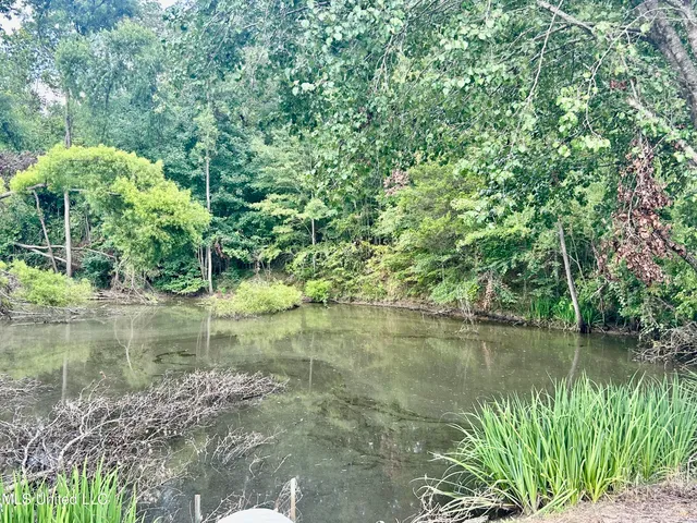 $380,000 | 215 County Road 369, Carrollton, MS 38917