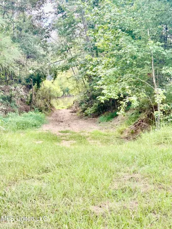 $350,000 | 215 County Road 369, Carrollton, MS 38917