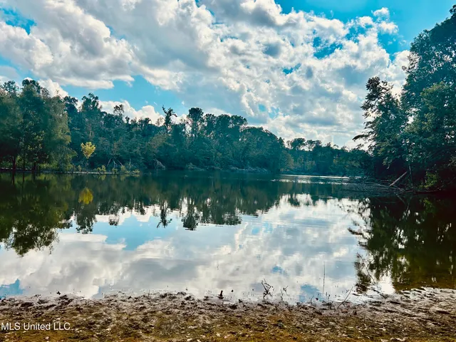 $380,000 | 215 County Road 369, Carrollton, MS 38917