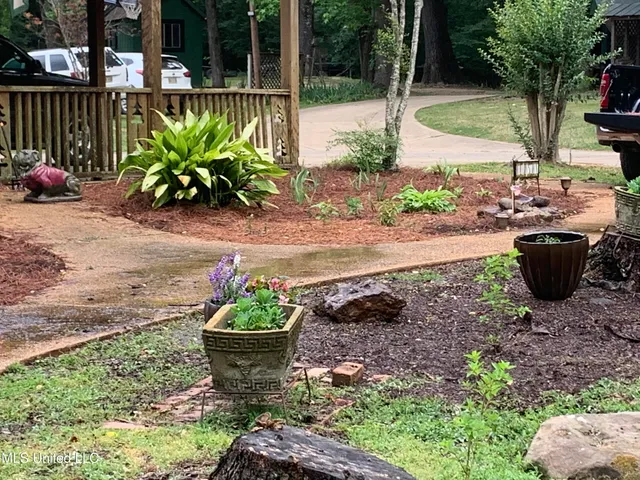 $380,000 | 215 County Road 369, Carrollton, MS 38917