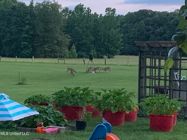 $380,000 | 215 County Road 369, Carrollton, MS 38917