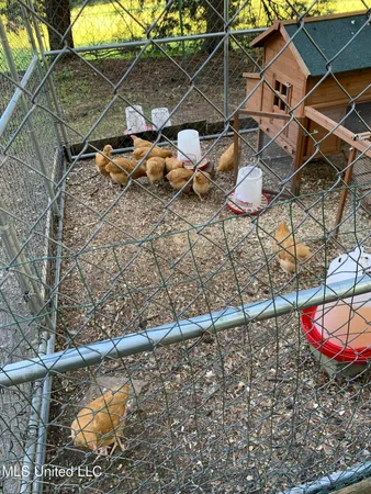 $350,000 | 215 County Road 369, Carrollton, MS 38917