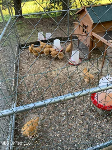 $380,000 | 215 County Road 369, Carrollton, MS 38917