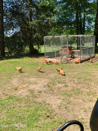 $350,000 | 215 County Road 369, Carrollton, MS 38917