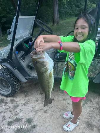 $350,000 | 215 County Road 369, Carrollton, MS 38917