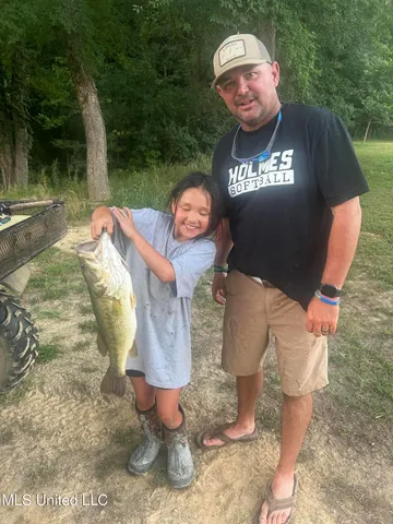 $380,000 | 215 County Road 369, Carrollton, MS 38917