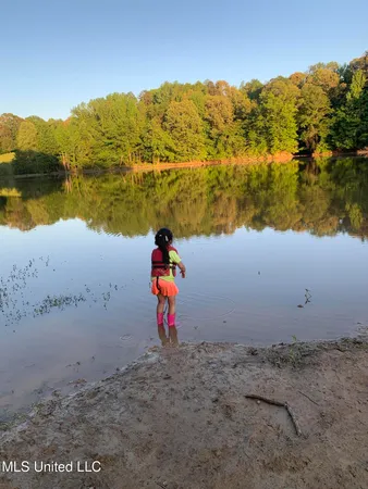 $350,000 | 215 County Road 369, Carrollton, MS 38917