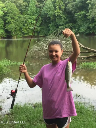 $350,000 | 215 County Road 369, Carrollton, MS 38917