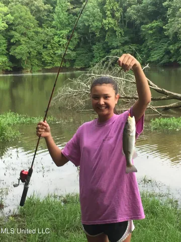 $380,000 | 215 County Road 369, Carrollton, MS 38917