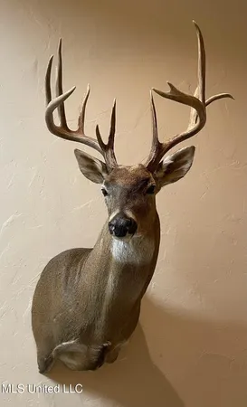 $350,000 | 215 County Road 369, Carrollton, MS 38917