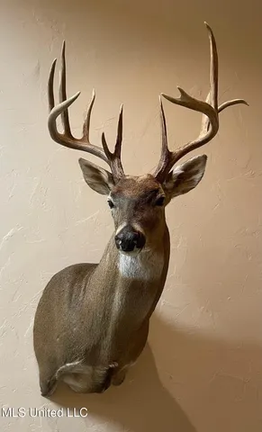 $380,000 | 215 County Road 369, Carrollton, MS 38917