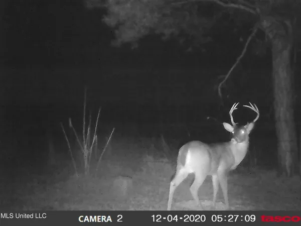 $350,000 | 215 County Road 369, Carrollton, MS 38917