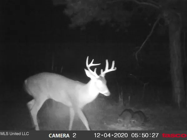 $350,000 | 215 County Road 369, Carrollton, MS 38917