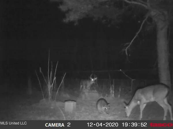 $350,000 | 215 County Road 369, Carrollton, MS 38917