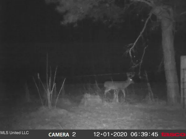 $350,000 | 215 County Road 369, Carrollton, MS 38917