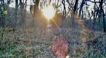 $350,000 | 215 County Road 369, Carrollton, MS 38917