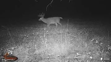 $350,000 | 215 County Road 369, Carrollton, MS 38917