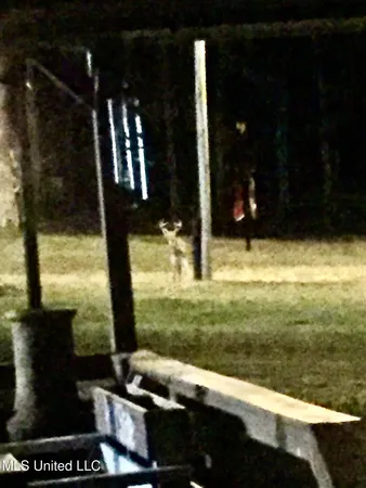 $350,000 | 215 County Road 369, Carrollton, MS 38917