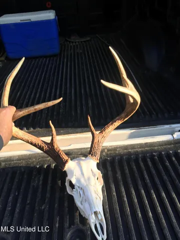 $380,000 | 215 County Road 369, Carrollton, MS 38917