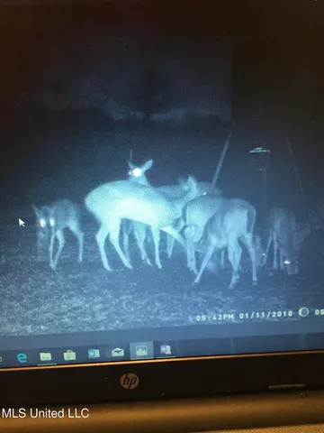 $380,000 | 215 County Road 369, Carrollton, MS 38917