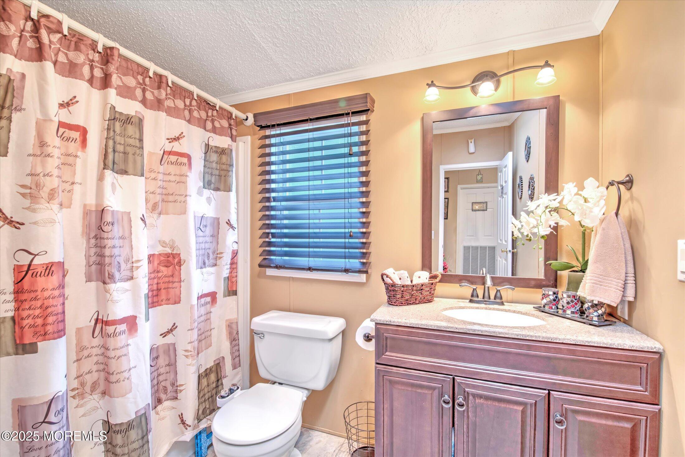 38 Village Road Morganville, NJ 07751 - Photo 19 of 20 a bathroom with a sink a toilet and shower curtain