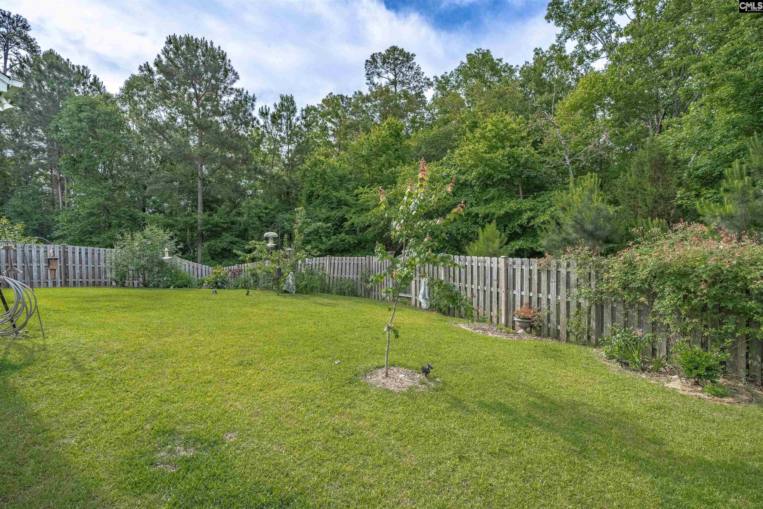 929 Isle Court Chapin, SC 29036 - Photo 44 of 46