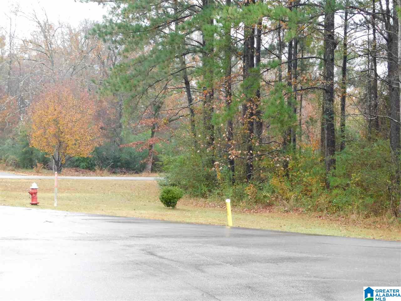 Montcrest Street South, Unit 26 & 77 Cullman, AL 35057 - Photo 14 of 14