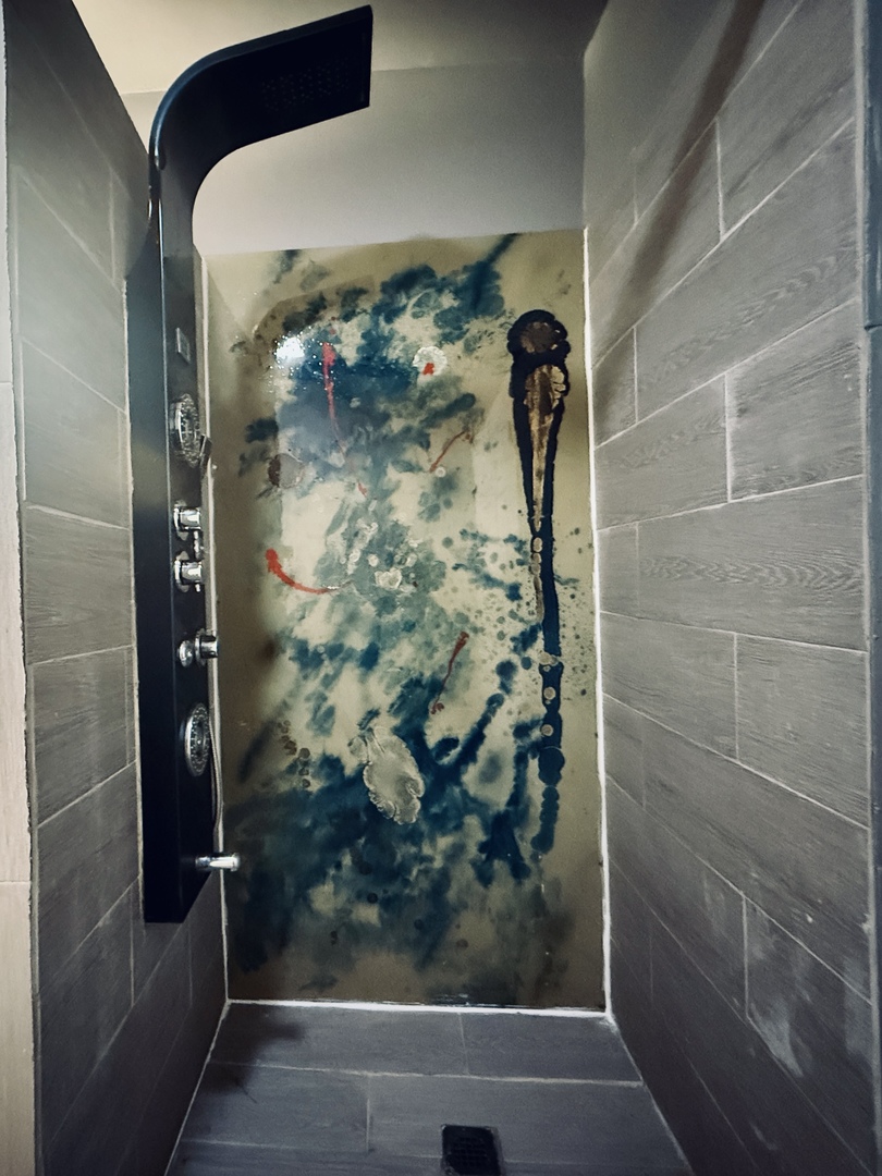 11725 South Morgan Street Chicago, IL 60643 - Photo 20 of 40 a bathroom with a shower