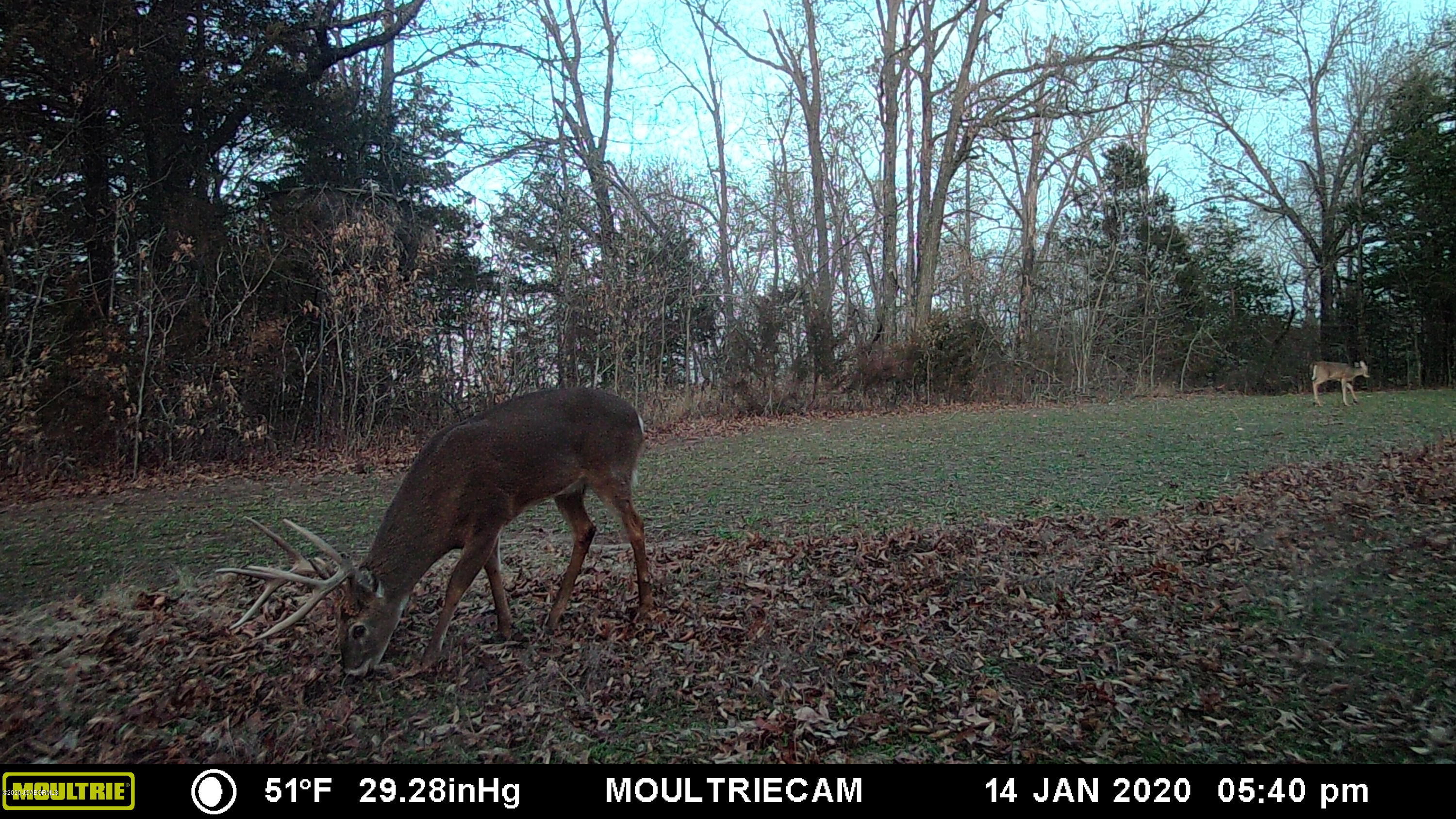 Tbd Paris Farm Road New Bloomfield, MO 65063 - Photo 7 of 9