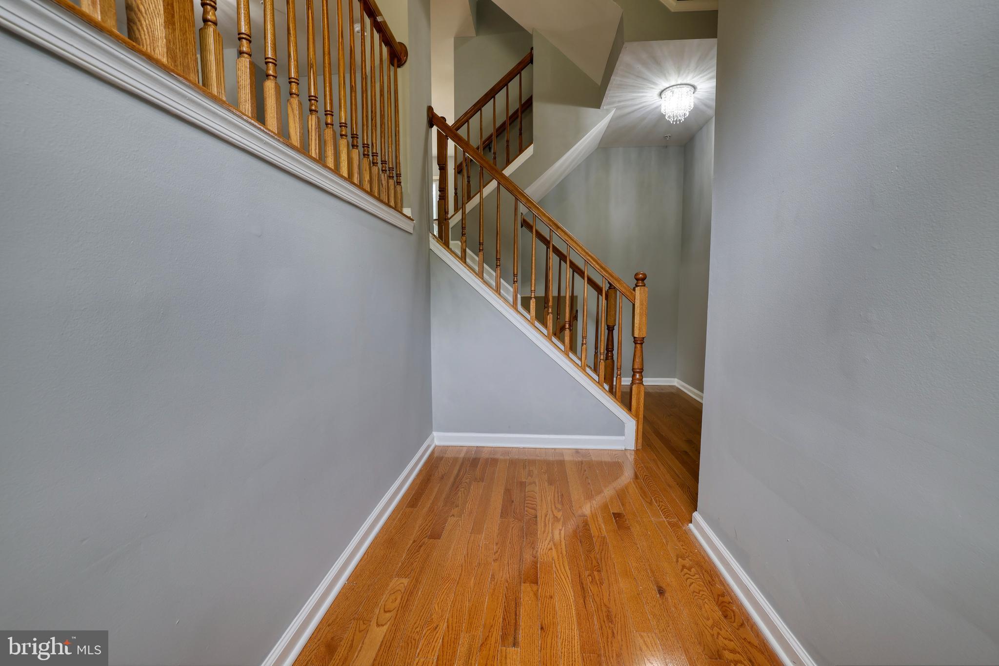 30 Flaxleaf Court Baltimore, MD 21221 - Photo 3 of 27 Entry Hallway
