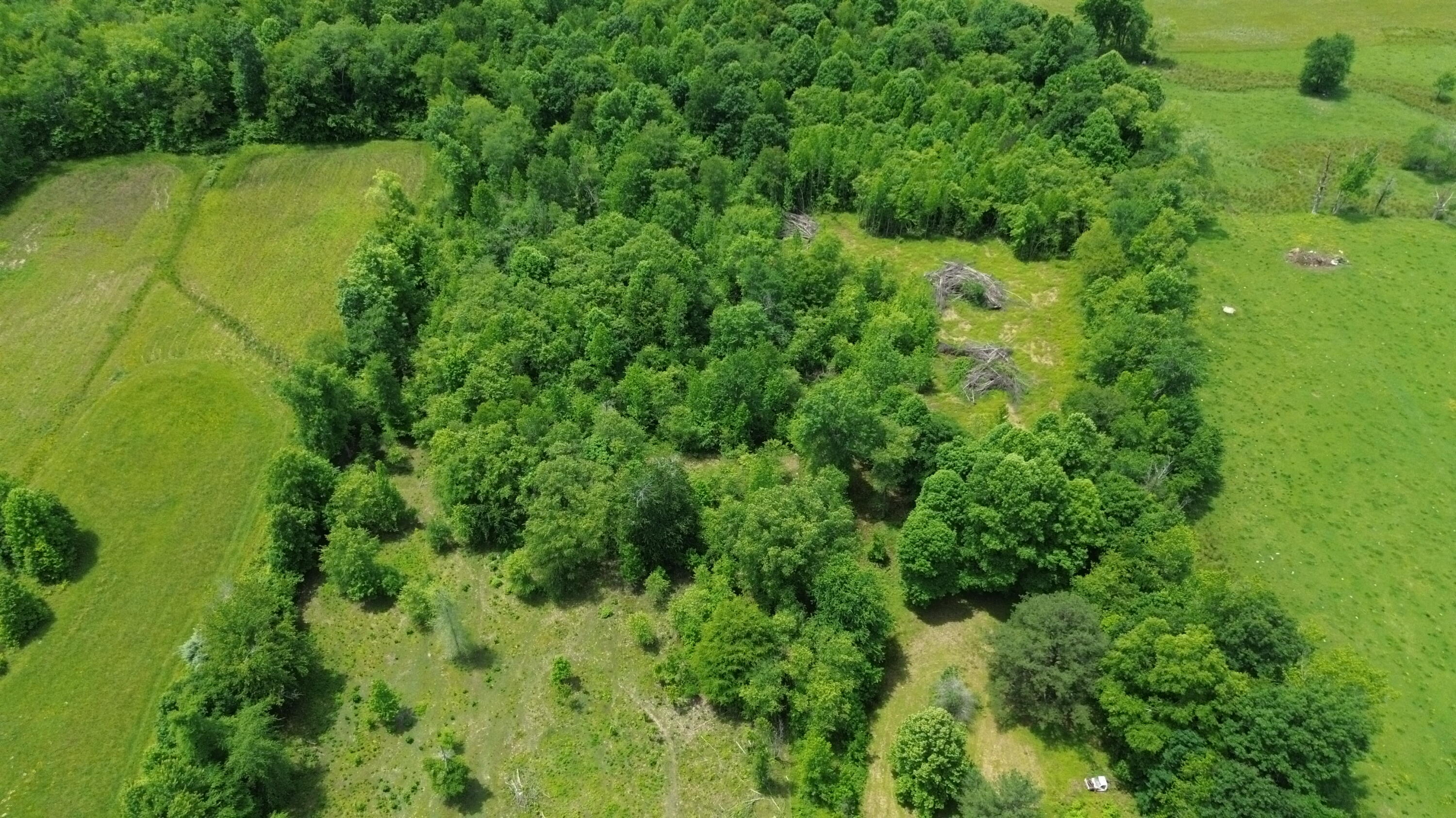 1433 Tower Road Corbin, KY 40701 - Photo 8 of 10 DJI_0110 - Copy