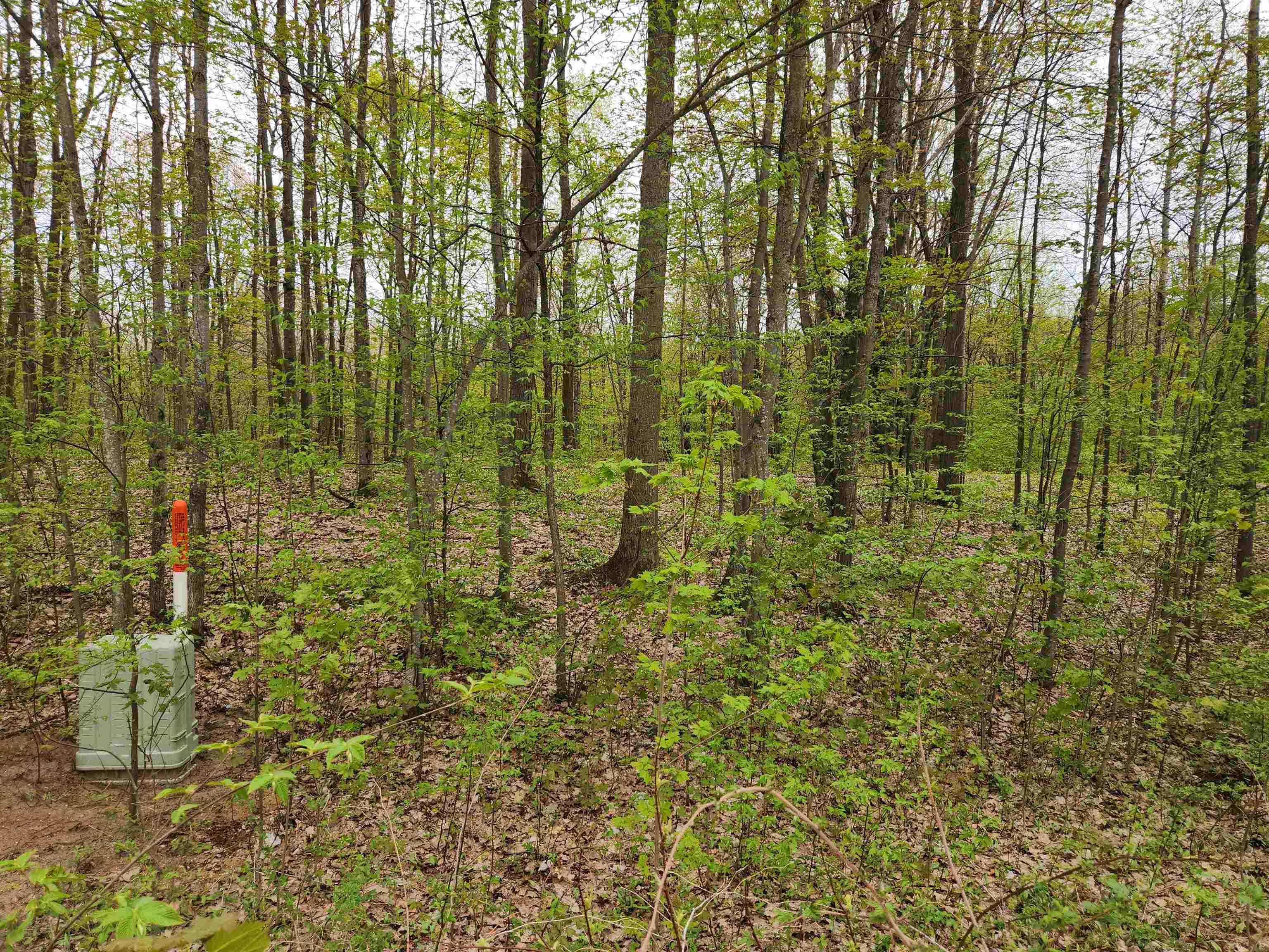 Lot 20 Heather Ridge Trail Beulah, MI 49617 - Photo 11 of 12